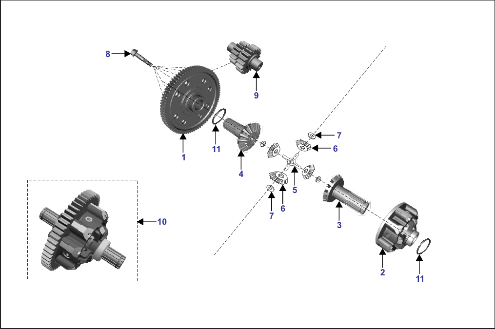 Plate 14 — DIFFERENTIAL - MAXIMA