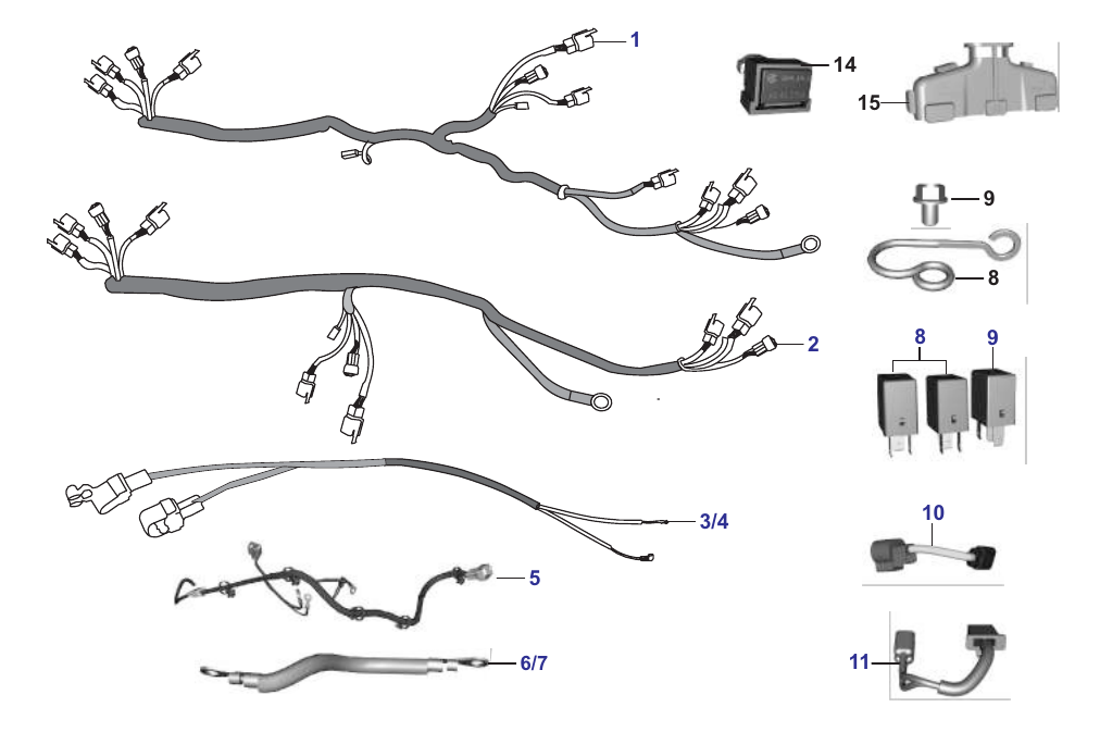 Plate 77 — HARNESS