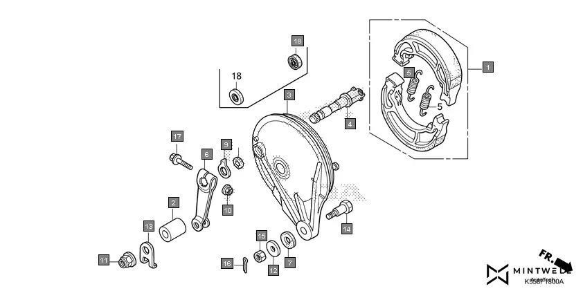 F-18 REAR BRAKE PANEL assembly diagram for HONDA Livo CBF110G