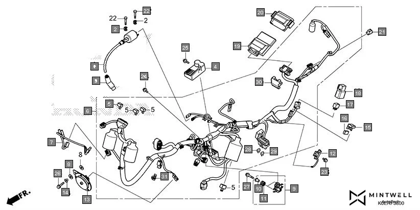 F-38 WIRE HARNESS assembly diagram for HONDA SP160 CBF160FSR
