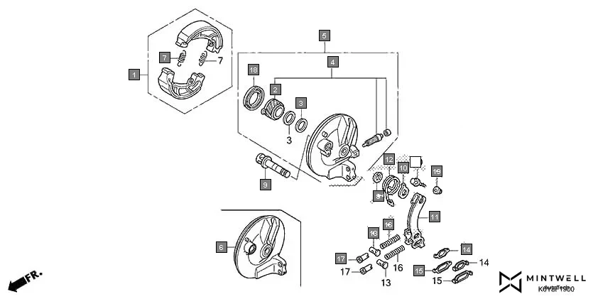 F-19 FRONT BRAKE PANEL assembly diagram for HONDA Dio SCV110FM